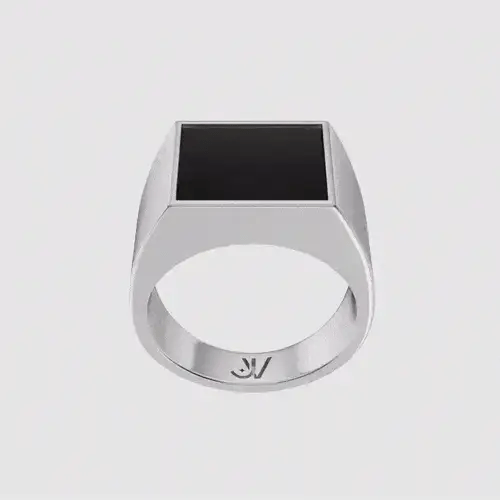 V41 | Signet Ring